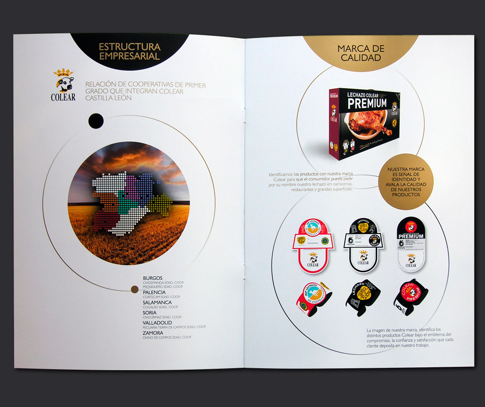 diseño-folleto-agroalimentario
