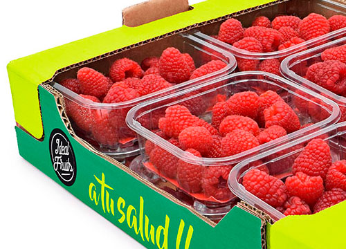 diseño caja fruta