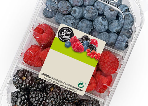 diseño etiquetas berries